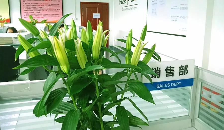 濃情七夕，最美祝福！